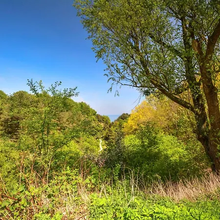 Foka Σπίτι διακοπών