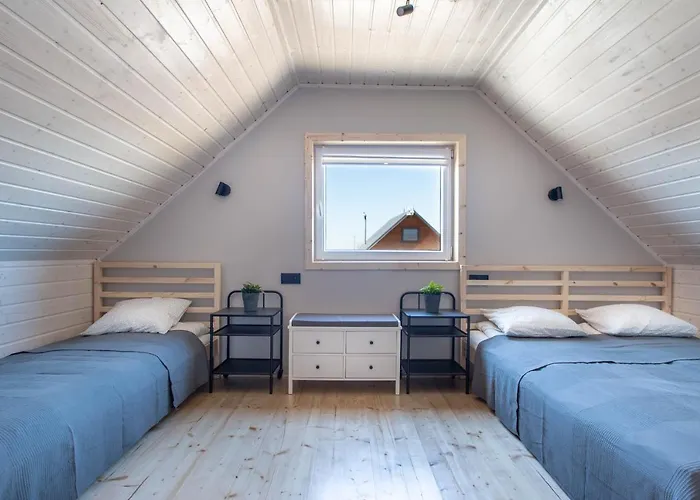 Foka * Władysławowo